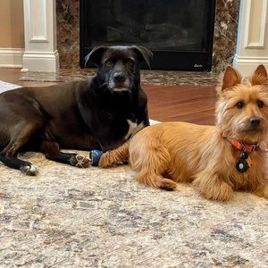 Meet your Posher, Rachel